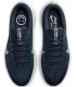کفش پیاده روی نایک Nike Air Winflo 10 Road Running Shoes DV4022-400