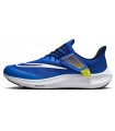 کفش پیاده روی نایک Nike Pegasus39 FlyEase Racer Blue Sundia dj7381-401