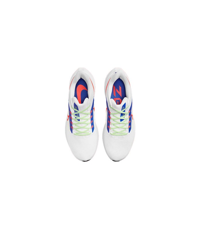 کفش پیاده روی نایک Nike Air Zoom Pegasus 39 Men DX3354-100