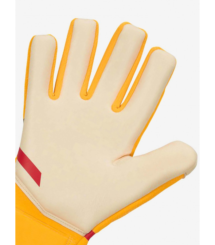 دستکش دروازه بانی نایک فانتوم Nike Phantom Shadow CN6758-845