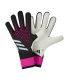 دستکش دروازه بانی آدیداس پردیتور Adidas Predator HN3345