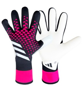 دستکش دروازه بانی آدیداس پردیتور Adidas Predator HN3345