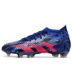 کفش فوتبال ادیداس پردیتور Adidas Predator Accuracy .1 Low FG