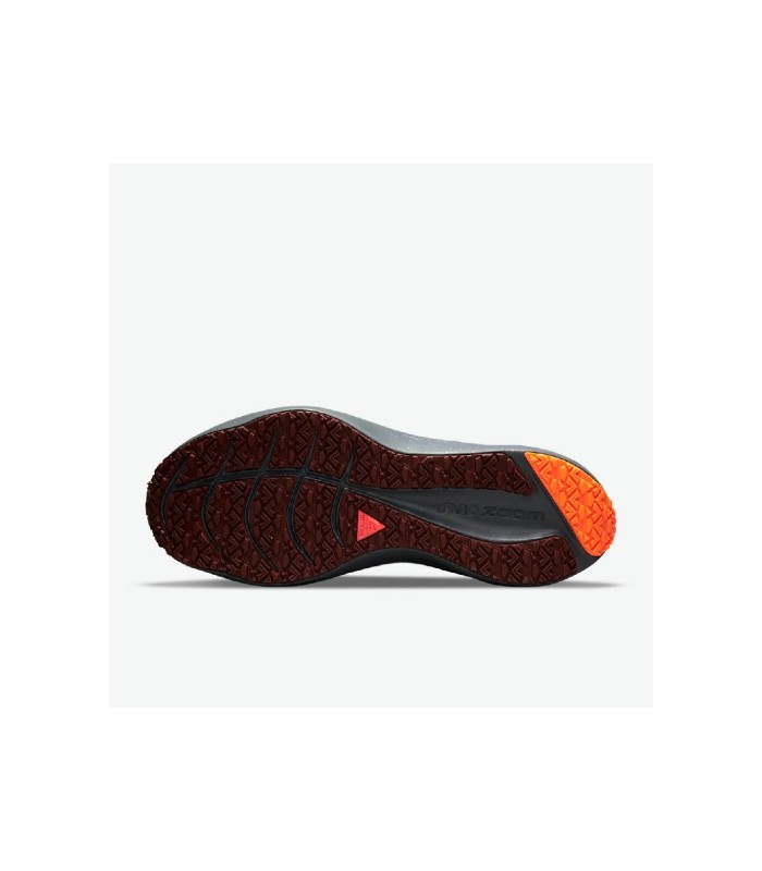 کفش پباده روی نایک وینفلو Nike WINFLO 8 SHIELD DC3727-200