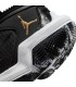 کفش بسکتبال جردن Jordan Why Not Zer0.6 Black/Gold