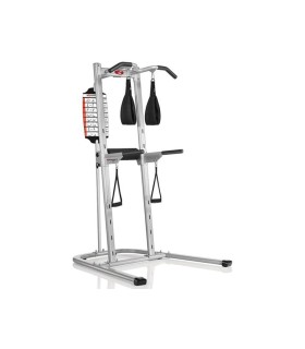 دستگاه بارفیکس چند کاره بوفلکس Bowflex