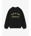 هودی مردانه مدل Fear Of God Essentials Hoodie B