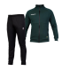 گرمکن و شلوار آلشپرت فیروزه ای Uhlsport Sweatshirt and pants Green