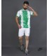 تیشرت و شورت باشگاهی نایک مردانه سفید سبز Nike Men's club t-shirt and shorts