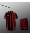 تیشرت و شورت باشگاهی نایک قرمز تیره Nike Men's club t-shirt and shorts
