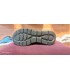 کفش پیاده روی اسکیچرز اولترا گو Skechers Ultra Go Running Shoes