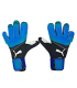 دستکش گلری پوما فیوچر Puma Future BB