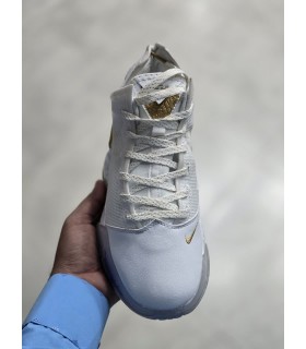 کفش والیبالی /بسکتبالی نایک لبرون 19 مسترکوالیتی Titan x Nike LeBron 19 Low Beyond The Seas