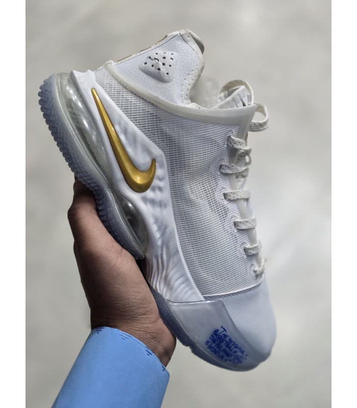 کفش والیبالی /بسکتبالی نایک لبرون 19 مسترکوالیتی Titan x Nike LeBron 19 Low Beyond The Seas