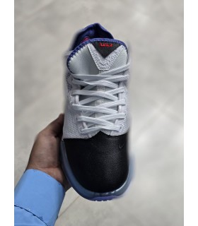 کفش والیبالی /بسکتبالی نایک لبرون 19 مسترکوالیتی Titan x Nike LeBron 19 Low Black Toe