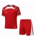 تیشرت و شورت تیمی مردانه برند نایکی T-Shirt and Short Men's Nike