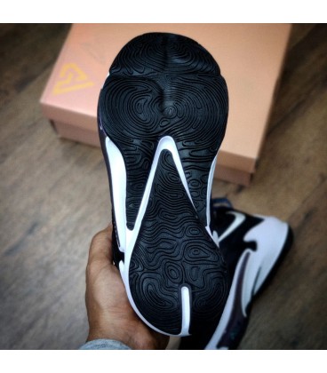 کفش بسکتبال مردانه طرح نایک Nike Zoom Freak 3