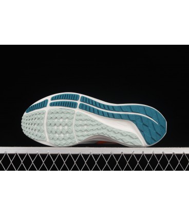کفش پیاده روی مردانه نایک Nike zoom Pegasus 39