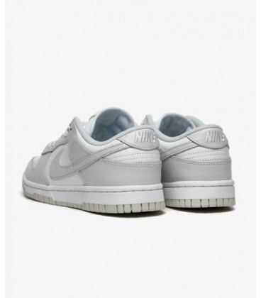 کفش پیاده روی مردانه نایک Nike sb dunk photon dust