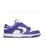 کفش پیاده روی زنانه نایک Nike sb dunk