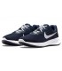 کفش پیاده روی مردانه نایک Nike Revolution 6 NN DC3728-401