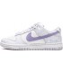 کفش پیاده روی مردانه نایک Nike SB Dunk Low