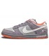 کفش پیاده روی مردانه نایک Nike Dunk Low Pro SB