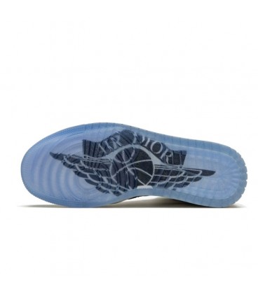 کفش پیاده روی زنانه نایکی ایر جردن Nike Jordan 1 Retro High Dior