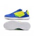 کفش فوتسال نایک استریت گتو Nike Street Gato Blue Yellow Green