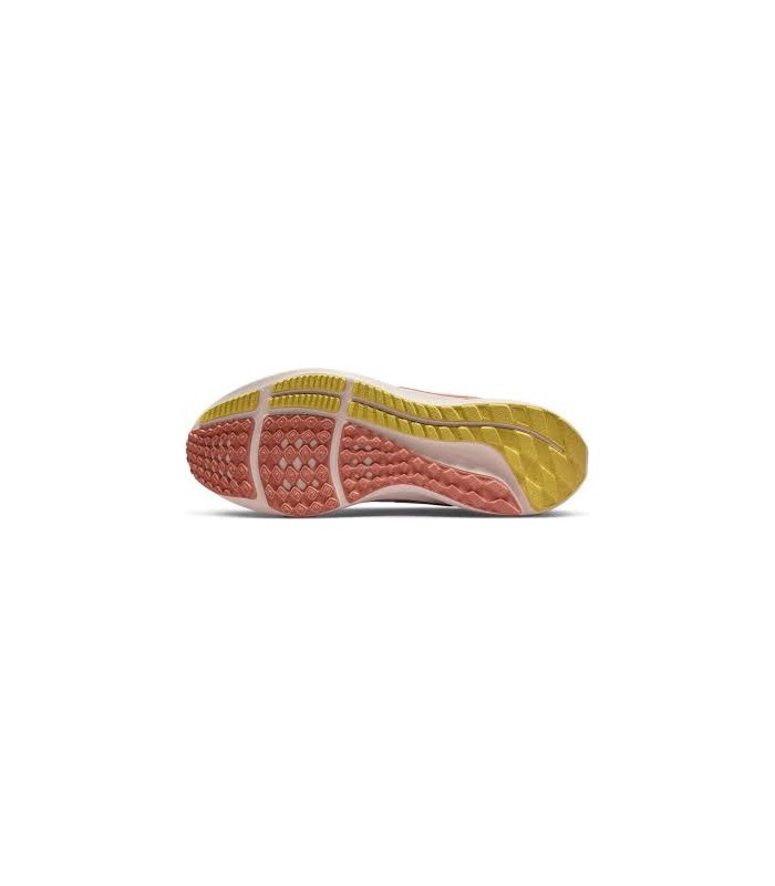 کفش پیاده روی زنانه نایک Nike Air Zoom Pegasus 39 Women DH4072-501